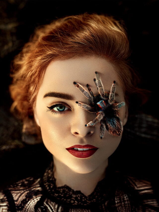Adobe Photoshop Editing: Retouching, Beauty Retouching,  Portrait Editing