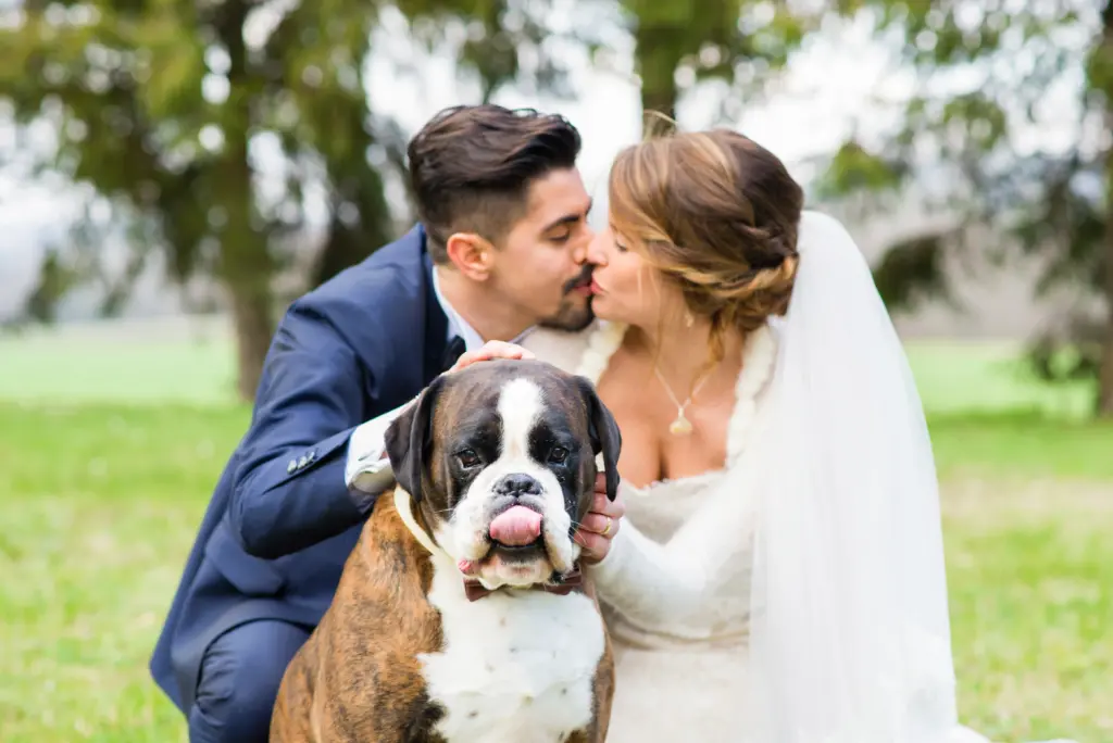 Portrait of bride and bridegroom with their dog