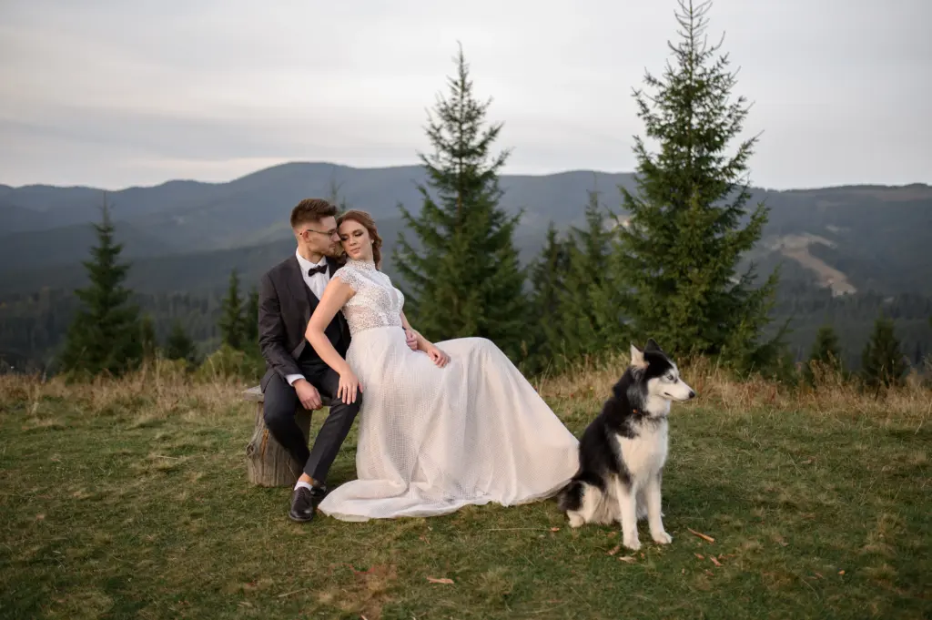 wedding couple with dog in mountains at sunset. romantic evening in mountains.